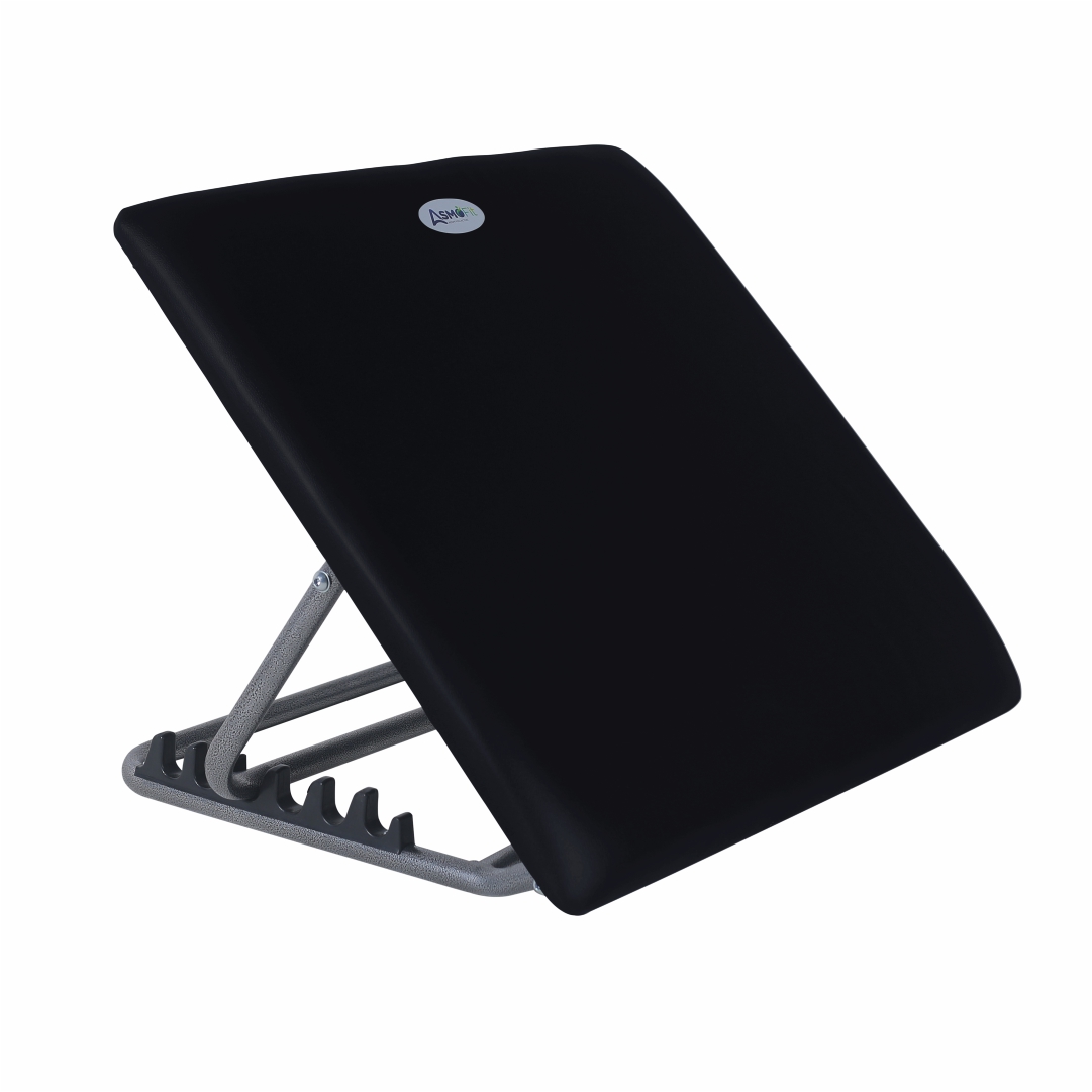 Bed Back Rest Black Standard