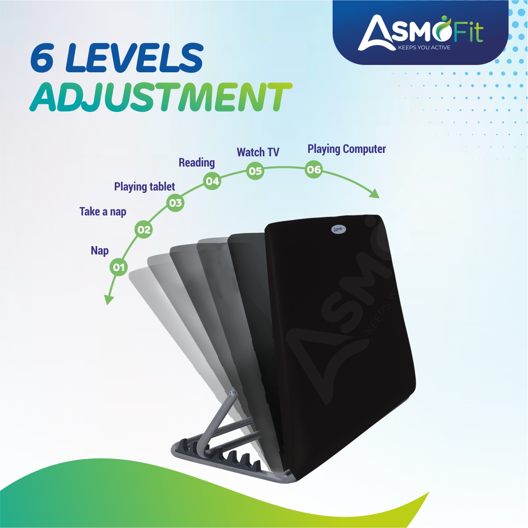 Bed Back Rest Black Standard